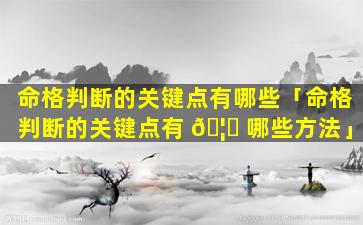 命格判断的关键点有哪些「命格判断的关键点有 🦁 哪些方法」